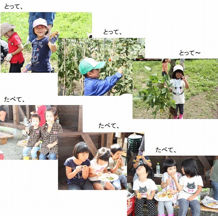 20140827.jpg