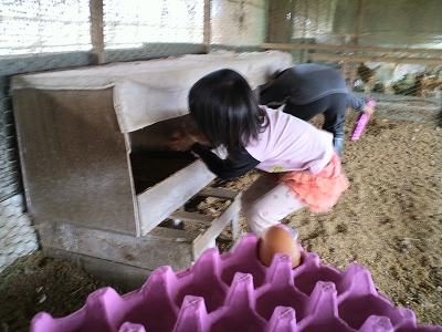 2014100111240000.jpg