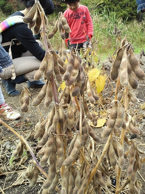 2014100114030002.jpg