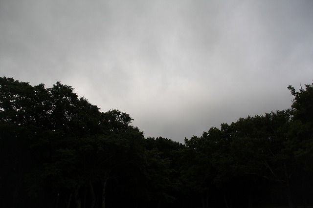 IMG_5441.jpg