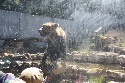 IMG_5962.jpg