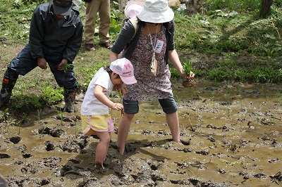 IMG_7683.jpg