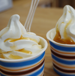 soft_cream_300-300[1].jpg